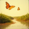 When I Met the Mariposa