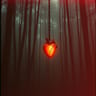 ILLEGAL LOVE