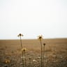 Nothing Left To Keep