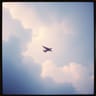 Paper Wings