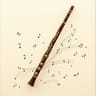 Bassoon Concerto in E minor