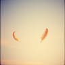 Weightless