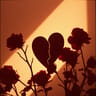 Used to love