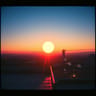Back to the Sunlight