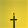 Cristo Venció