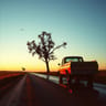 The Long Drive Home