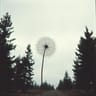 Hollow As The Wind