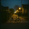 Suburban Nights