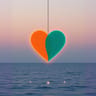 Opposite Hearts