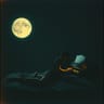 Moonlight on Your Collar