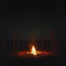 Ashes and Embers