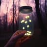 Lightning Bugs