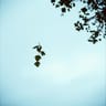 พูดไม่ออก(Silent goodbye)