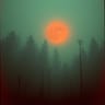 Chased Shadows