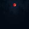 Blood Moon