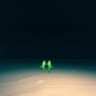 Space Frogs in the Sand