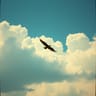 Wings of Rust