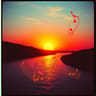 Chasing the sun