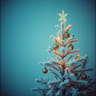 Winter Wonderland of Love