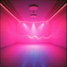 Shake the Room