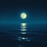 Midnight Echo