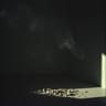 Nicotine