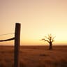 Out Where Cowboys and Indians Weren't Played