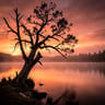Therapy In My Head
