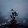 以后别联系
