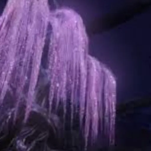 The Power & The Life